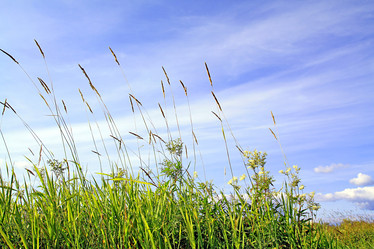 Similar image 893431