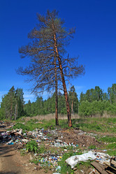 Similar image 893432