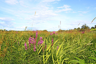 Similar image 893435