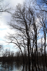 Similar image 893452