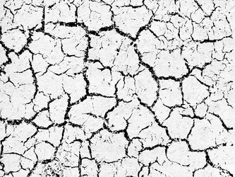 Similar image 893462