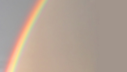 Similar image 893486