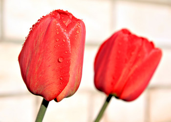 Similar image 893498