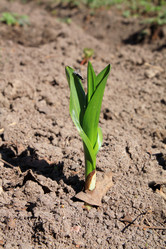 Similar image 893505