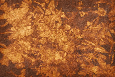 Similar image 893507