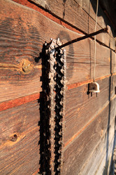 Similar image 893545