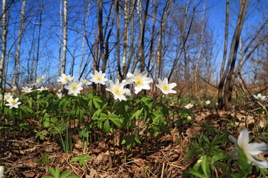 Similar image 893555