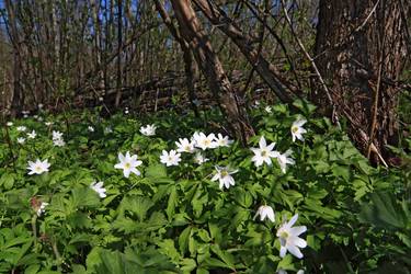 Similar image 893560