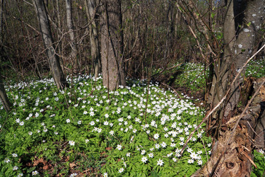 Similar image 893562