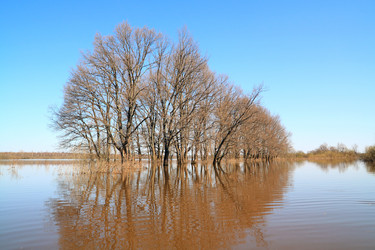 Similar image 893584