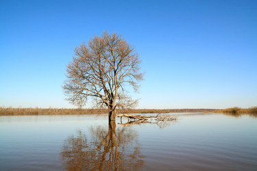 Similar image 893594