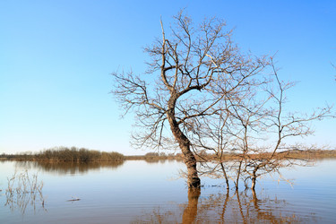 Similar image 893595