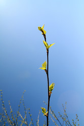 Similar image 893600