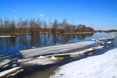 Similar image 893644