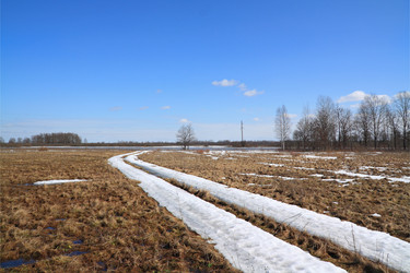 Similar image 893653