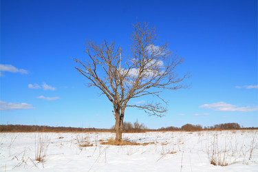 Similar image 893667