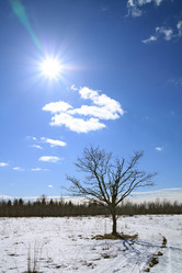 Similar image 893670