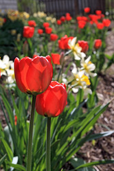 Similar image 893673