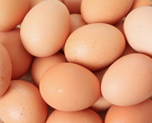 Similar image 893675