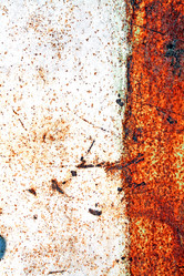 Similar image 893689