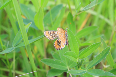 Similar image 893691