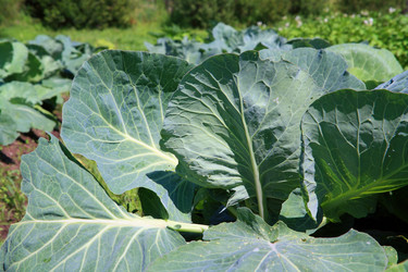 Similar image 893727