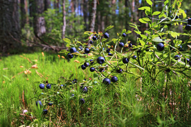 Similar image 893732