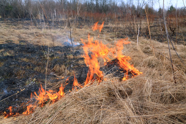 Similar image 893753