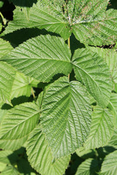 Similar image 893763