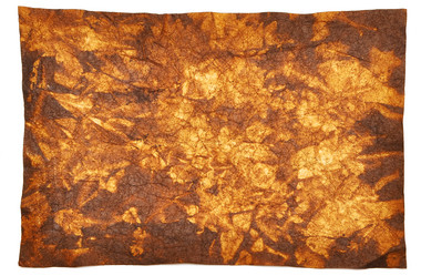 Similar image 893768