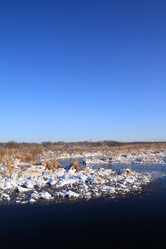 Similar image 893840