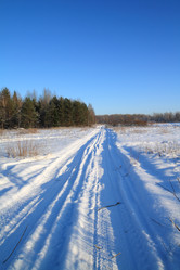 Similar image 893856