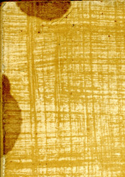 Similar image 893876