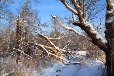 Similar image 893910