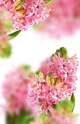 Similar image 893921