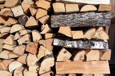 Similar image 893927