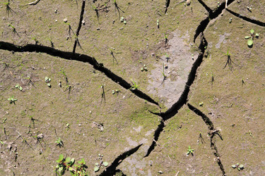 Similar image 893957