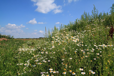 Similar image 893966