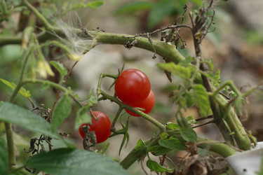 Similar image 893967