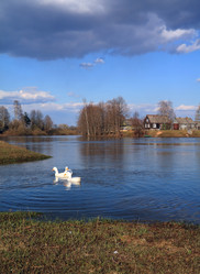 Similar image 893980