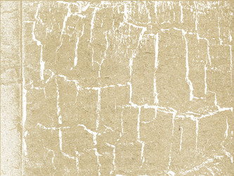 Similar image 893986