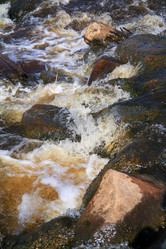 Similar image 893995