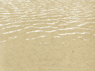 Similar image 894008