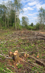 Similar image 894012