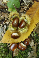 Similar image 894015