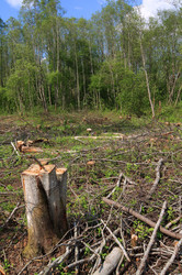 Similar image 894030