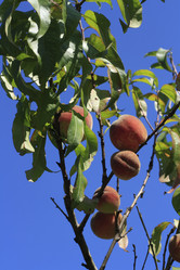 Similar image 894078