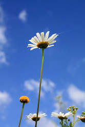 Similar image 894138