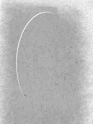 Similar image 894143