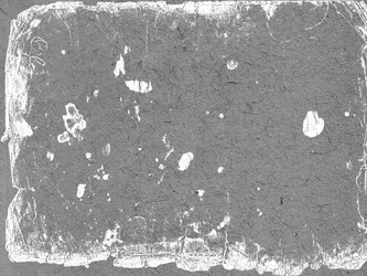 Similar image 894145